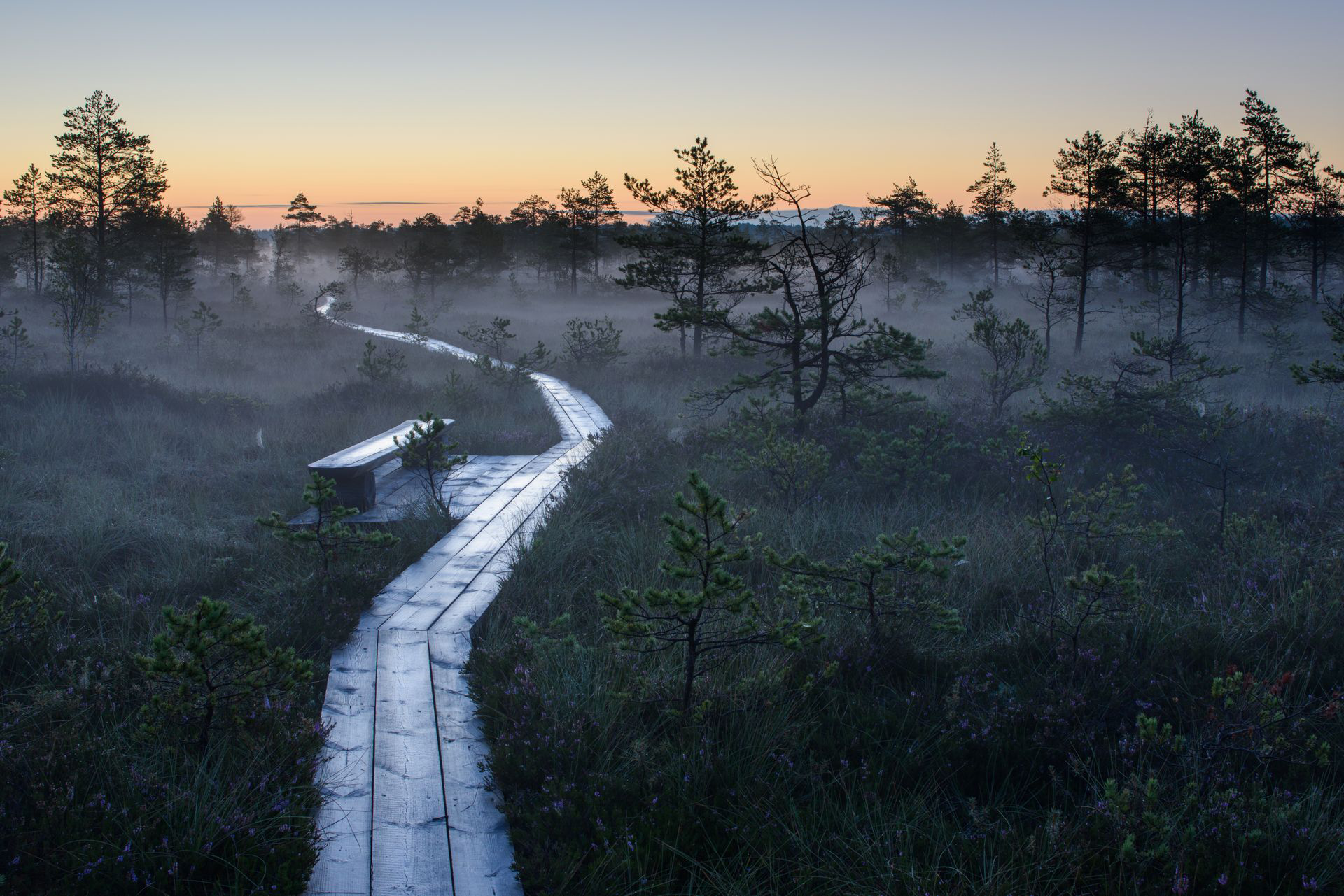 Holzsteg - Wanderweg im Soomaa Nationalpark